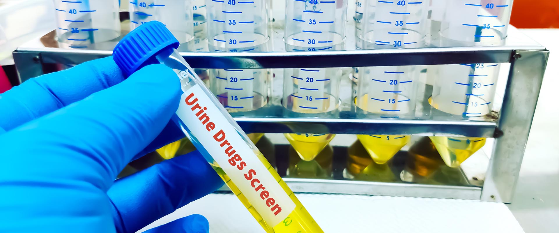 Professional Reference Verification Services from Krya Screening